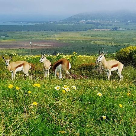 Berg En Dal Accommodation Saldanha Bay Екстер'єр фото